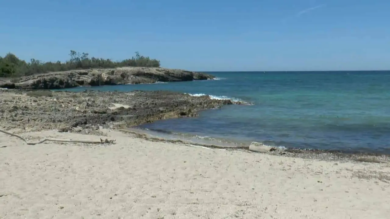 Torre Guaceto, spiaggia e mare sostenibili