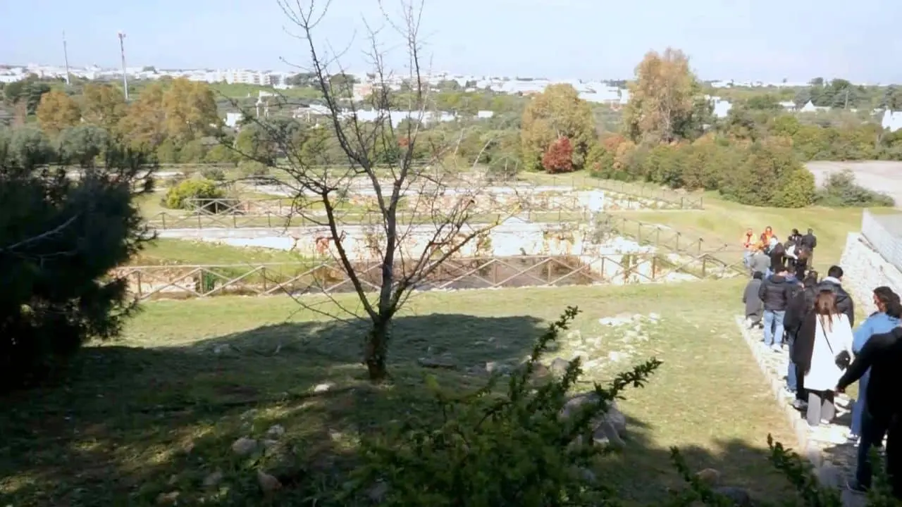 Agricoltura eco-friendly: dalla teoria alla pratica