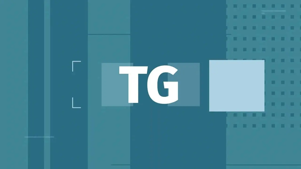 TG - 28 aprile 2025