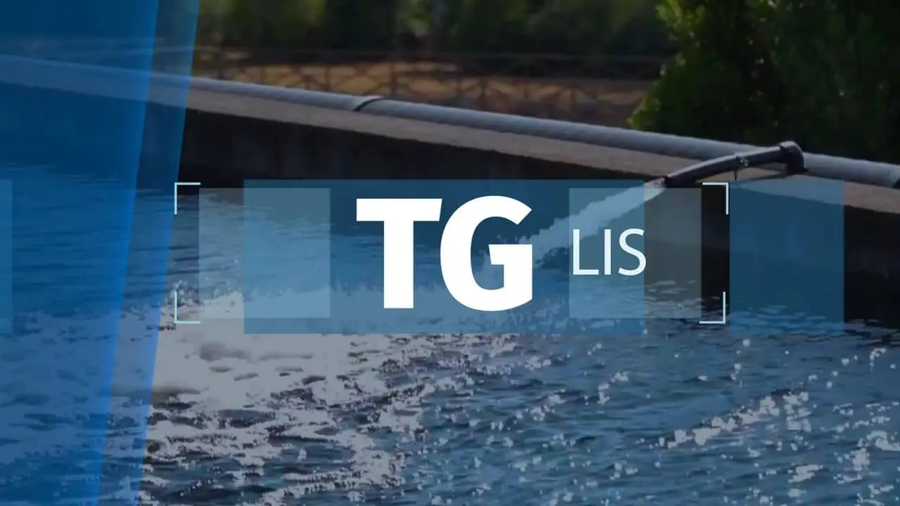 TG LIS - 5 maggio 2025