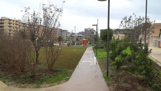 Quando il verde è un cambiamento culturale