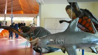 Una galleria del mare con balene e delfini di cartapesta