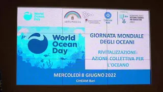 World Ocean Day, "azione collettiva per l'oceano"