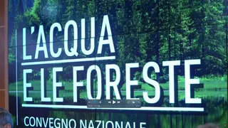 Dall'acqua alle foreste: beni da tutelare