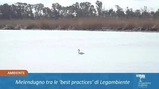 Melendugno tra le 'best practices' di Legambiente
