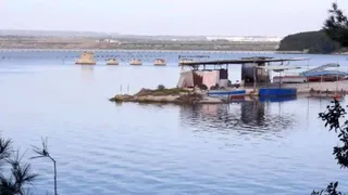 Eco-museo del Mar Piccolo, spazio blu di biodiversità