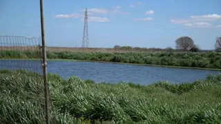 La zona umida di Gioia del Colle