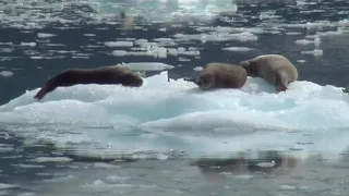 Clima, le stagioni pazze