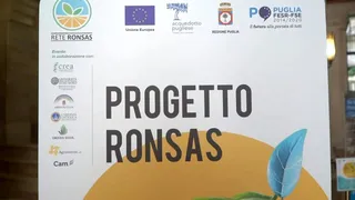 Ronsas, "siamo i fanghi biologici"